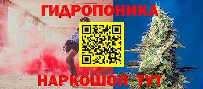 спиды Пугачёв